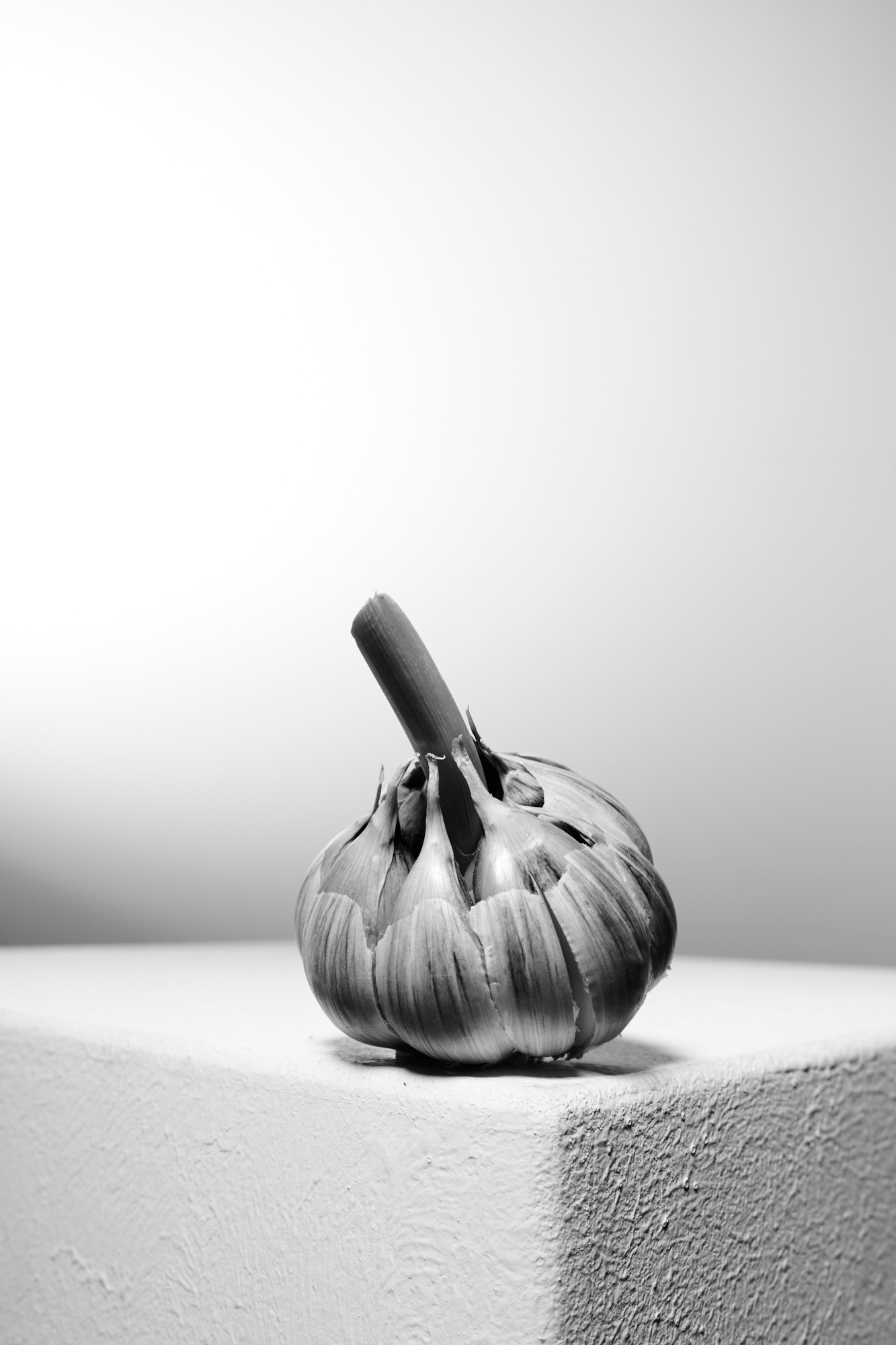 Light Study on Vegetables