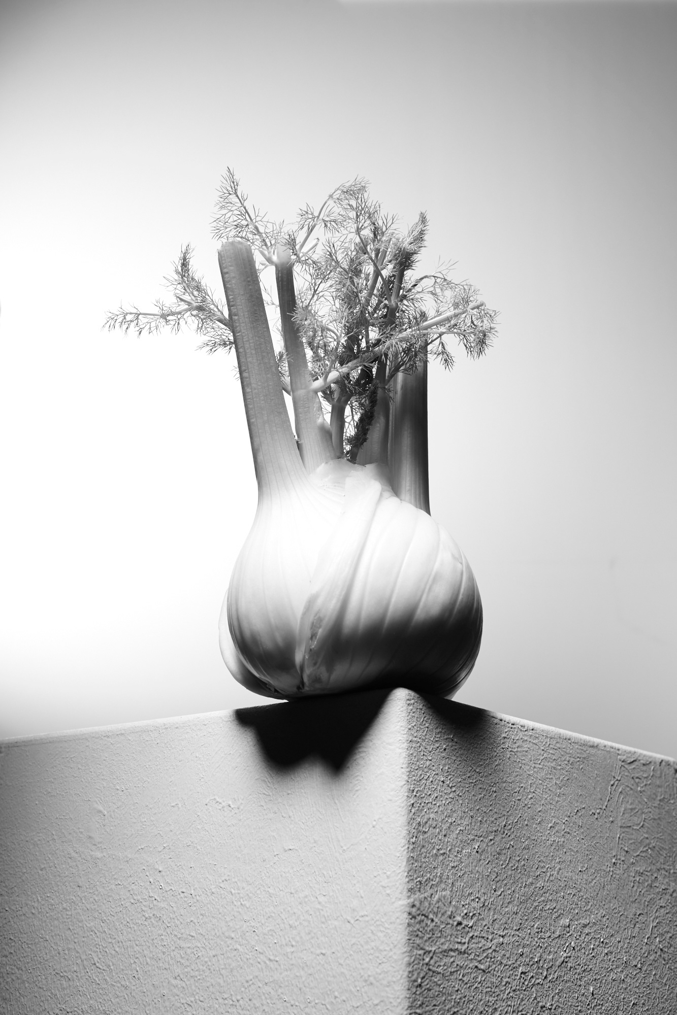 Light Study on Vegetables