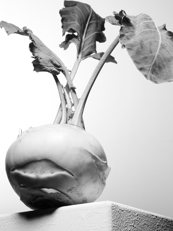 Light Study on Vegetables