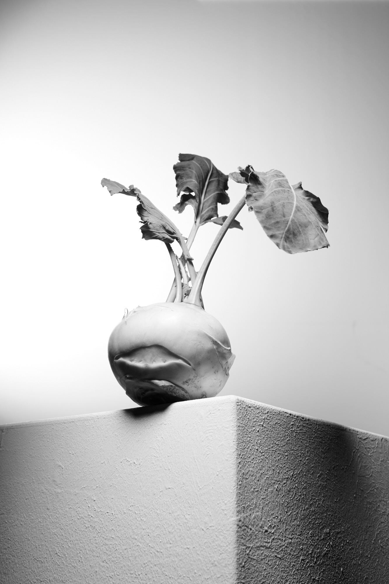 Light Study on Vegetables